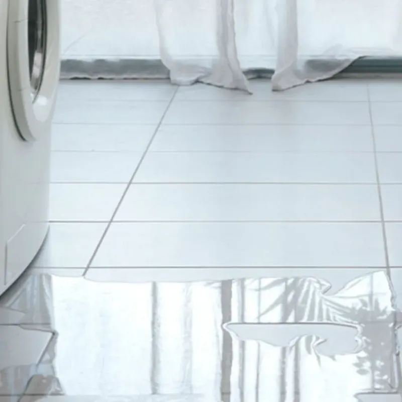 Appliance Leak Cleanup in Socastee, SC